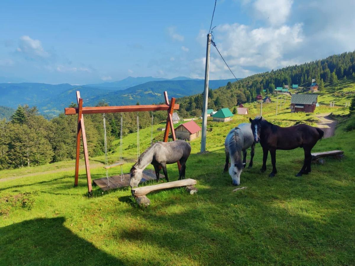 Mountain House Komovi-Radunovic Andrijevica Exteriér fotografie